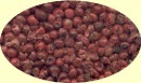 rosa-beeren