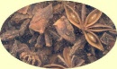sternanis-ganz