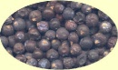 wacholderbeeren